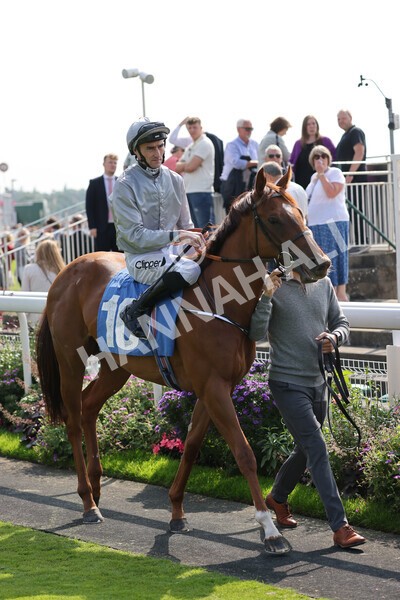 yr05092021r1-16 - Race 1 2.10pm IRE-Incentive It Pays To Buy Irish ebfstallions.com Novice Stakes