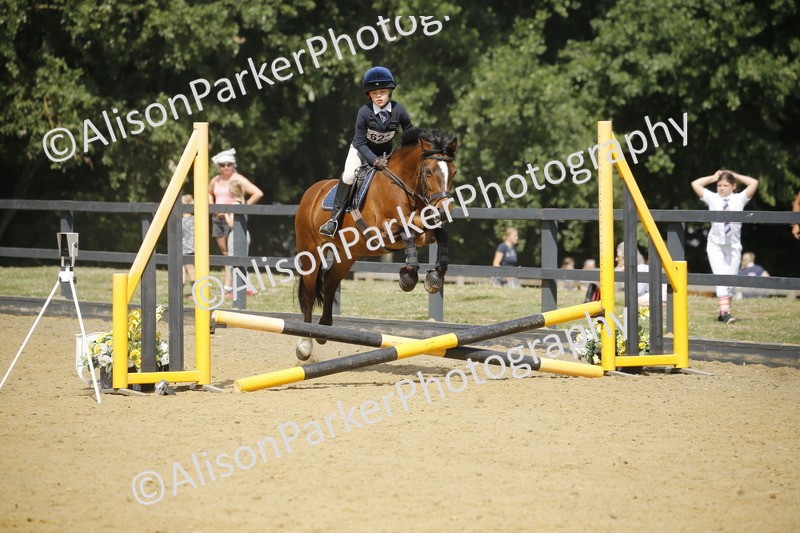 20250622-3867 - 50cm