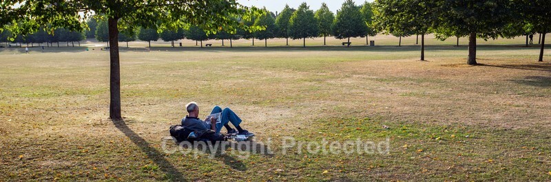 Don Morley - Reigate Park - Solitude - The Leica Fellowship Gallery