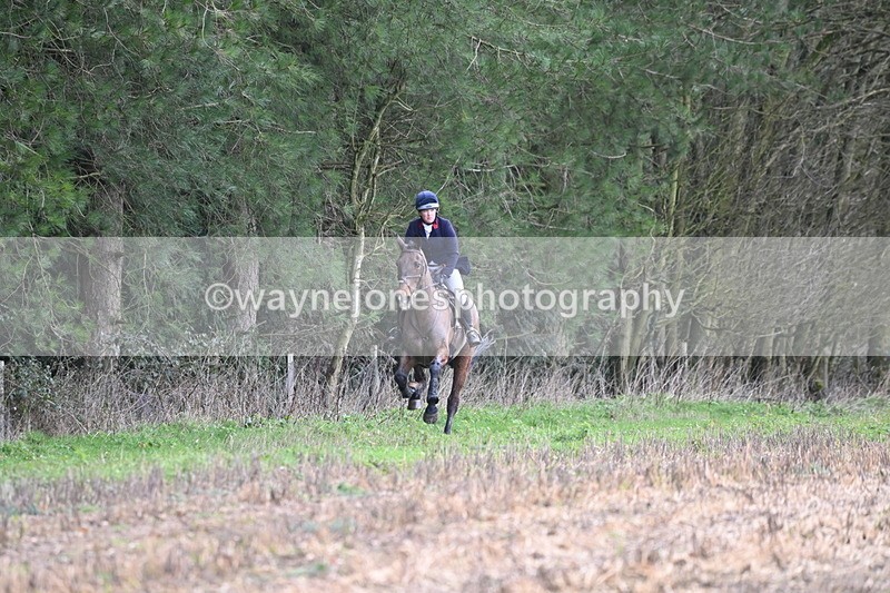 WJ6_9435 - Line Four