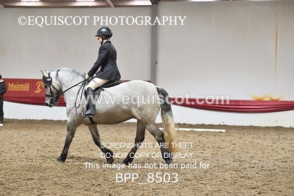 BPP_8503 - INTRO 3