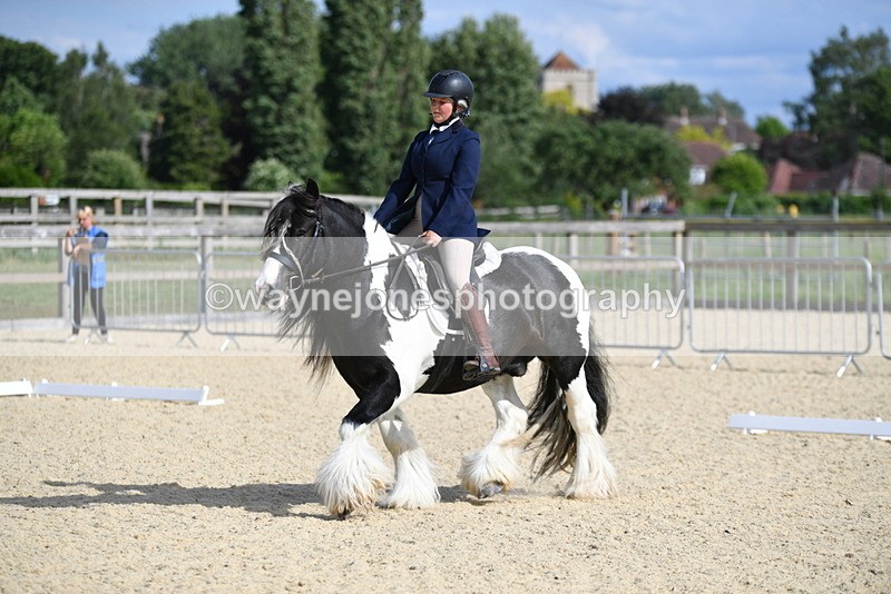 WJ5_7701 - Time 16:40 to 16:55