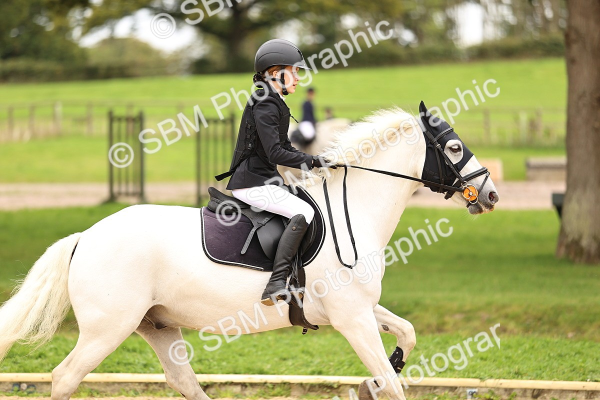 SBM_65609 - J17 - Junior Pony 80cm Championship