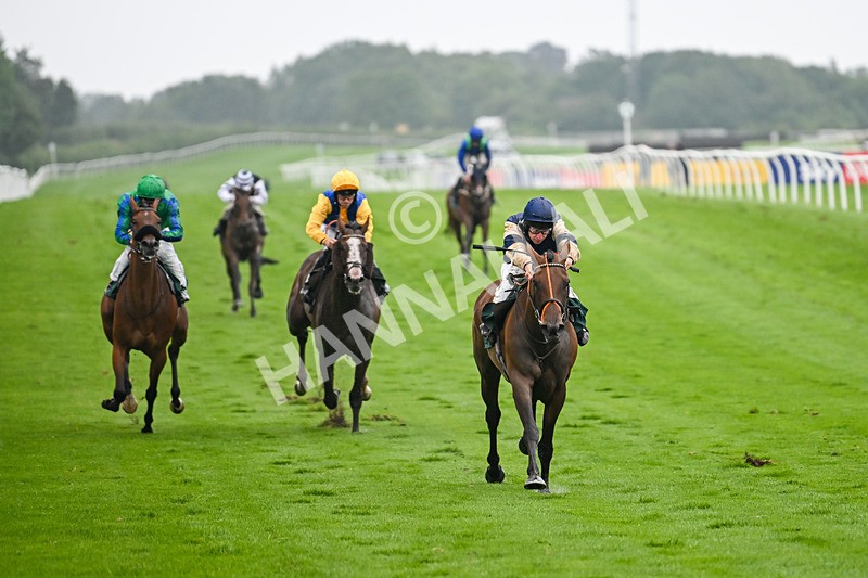 230725-Race 5-Bosphorus Rose-0446 - Race 5