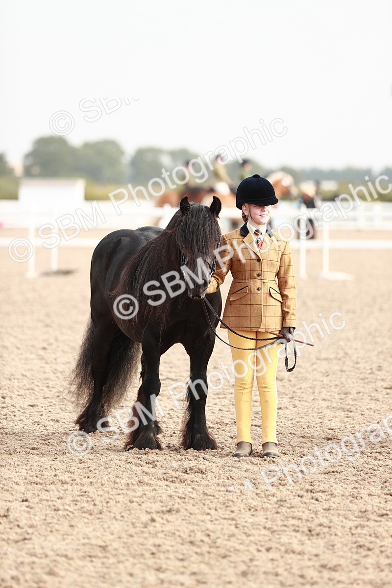 SBM_10534 - Class 204 Young Handler, 11-16 years