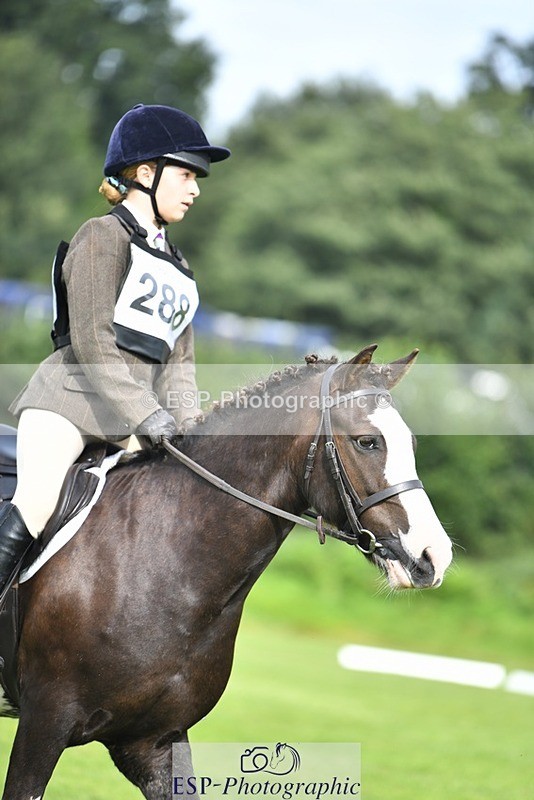 230826-100437-15352 - Sections C & D 9 to 10am