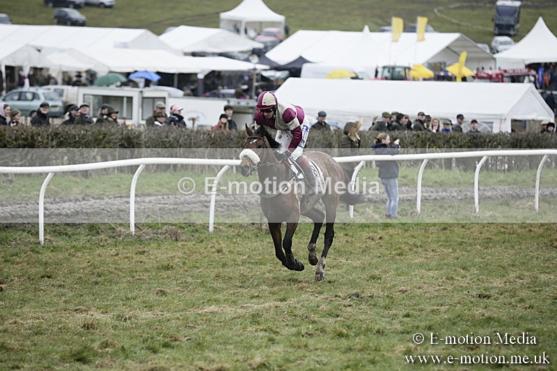PtP 020418 -494 - Old Berks Point-to-Point Races Easter Monday 02/04/18