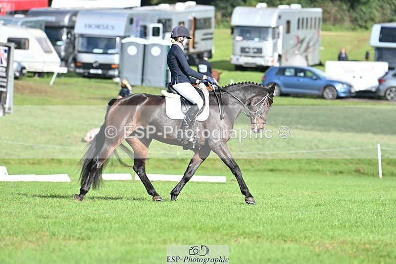 231020-110945-07798 - 645-COOLEY.CORPELLO-Francesca.Swallow-DR