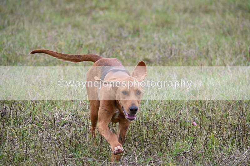 WJ6_0884 - Camera 2 Line 2