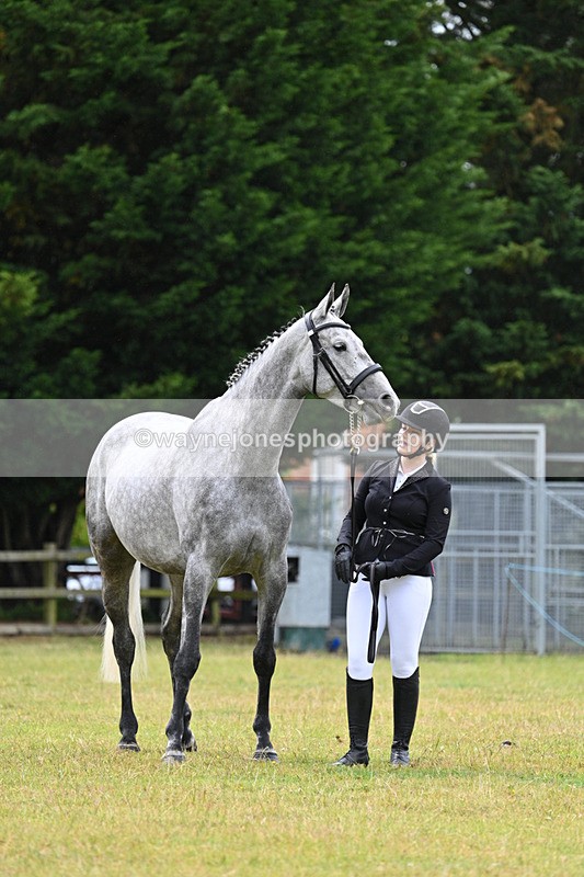 WJ7_6309 - Class 4a Prettiest Mare over 14hh