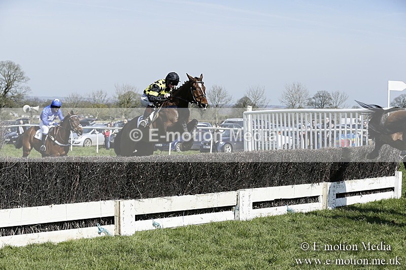 PtP 260317 92 - Mendip Farmers Point-to-Point Ston Easton 26/03/17