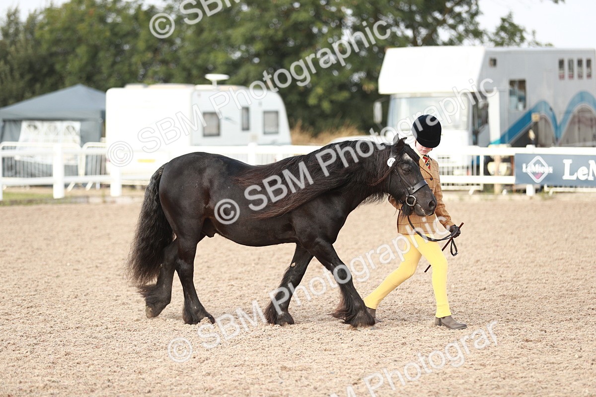 SBM_10497 - Class 204 Young Handler, 11-16 years