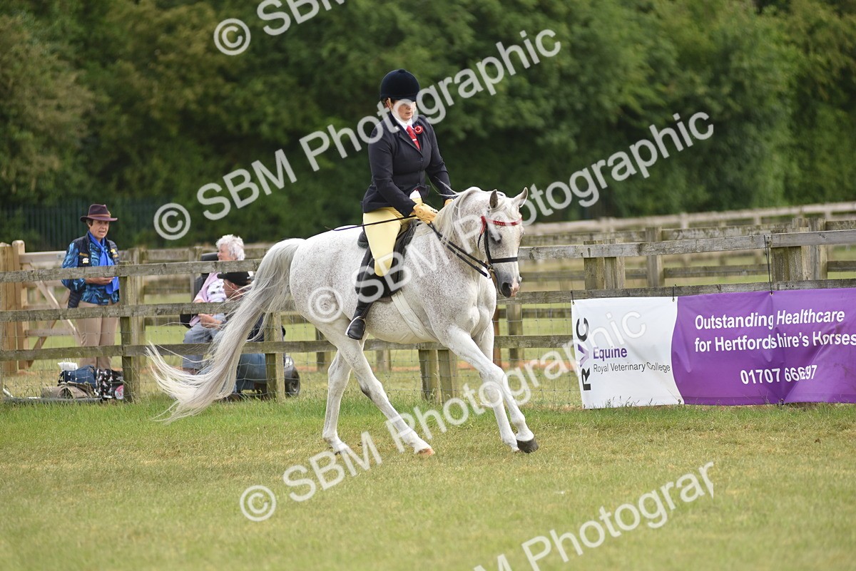 SBM_18162 - Class 122-123 - LIHS BHSA Raising Star Style and Performance Series