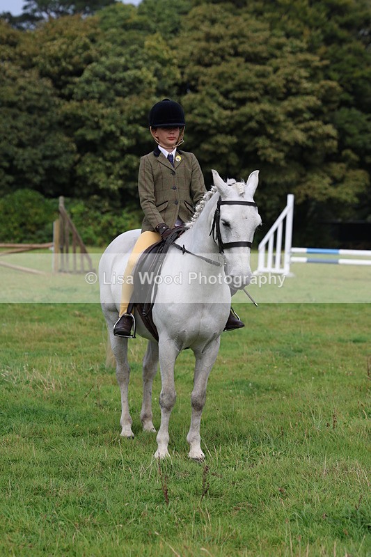 3E7A5894 - Class 26 and 27: 70cm Working Hunter