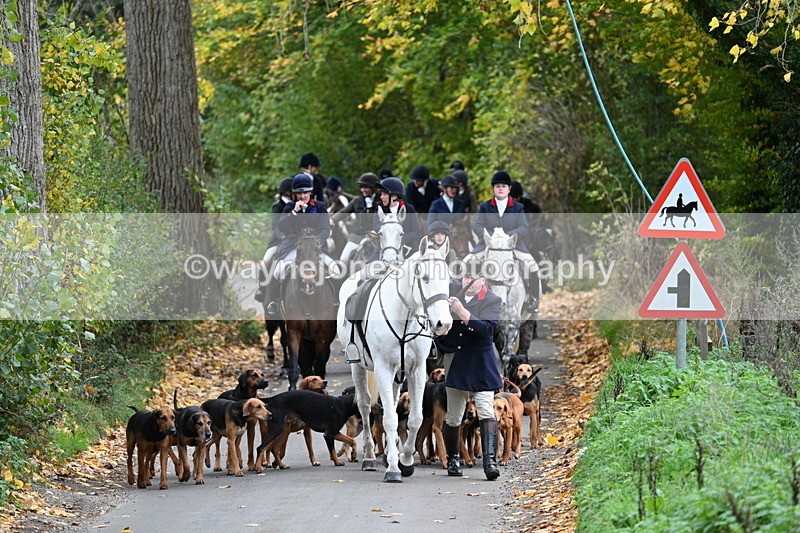 WJ7_7132 - Walk Home..