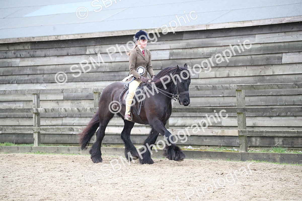 SBM_007337 - Class 10-13 - RIHS Small Large Breeds