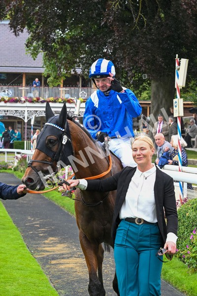 130724-Race 3-Enfjaar-7342 - Race 3 3.10pm John Smith's Cup Handicap