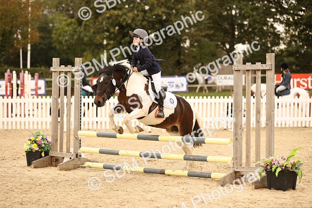 SBM_74251 - J14 - Junior Pony 65cm Championship