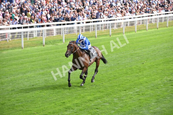 yr17082022r4-83 - Race 4 3.35pm Juddmonte International Stakes (British Champions Series Race)