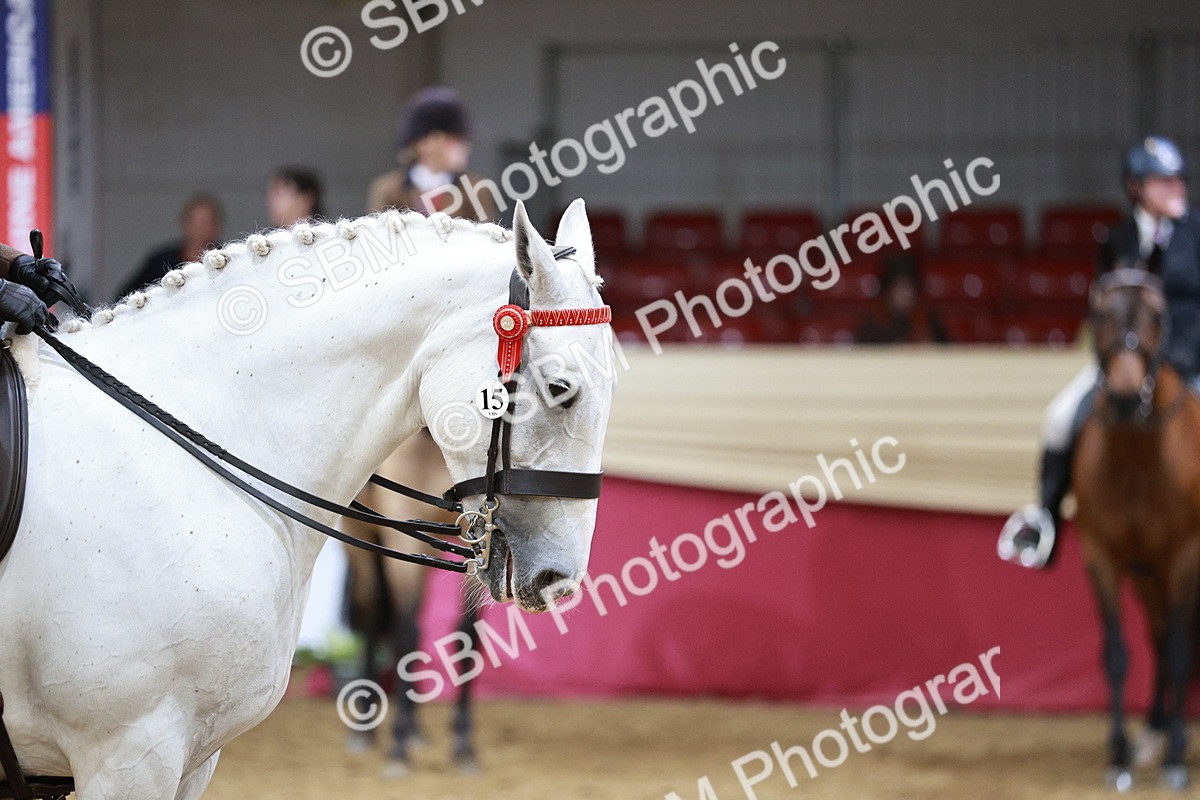 SBM_03477 - Class 6A Area Ridden Pre-Vet