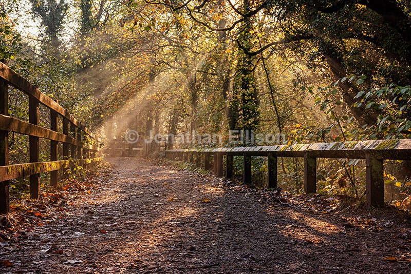 Yarrow Valley Country Park - Lancashire