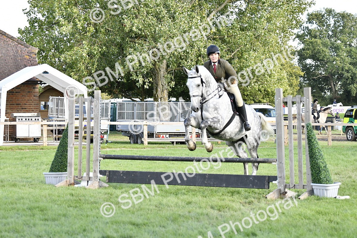 SBM_52158 - S35 - Working Hunter & Working Show Horse