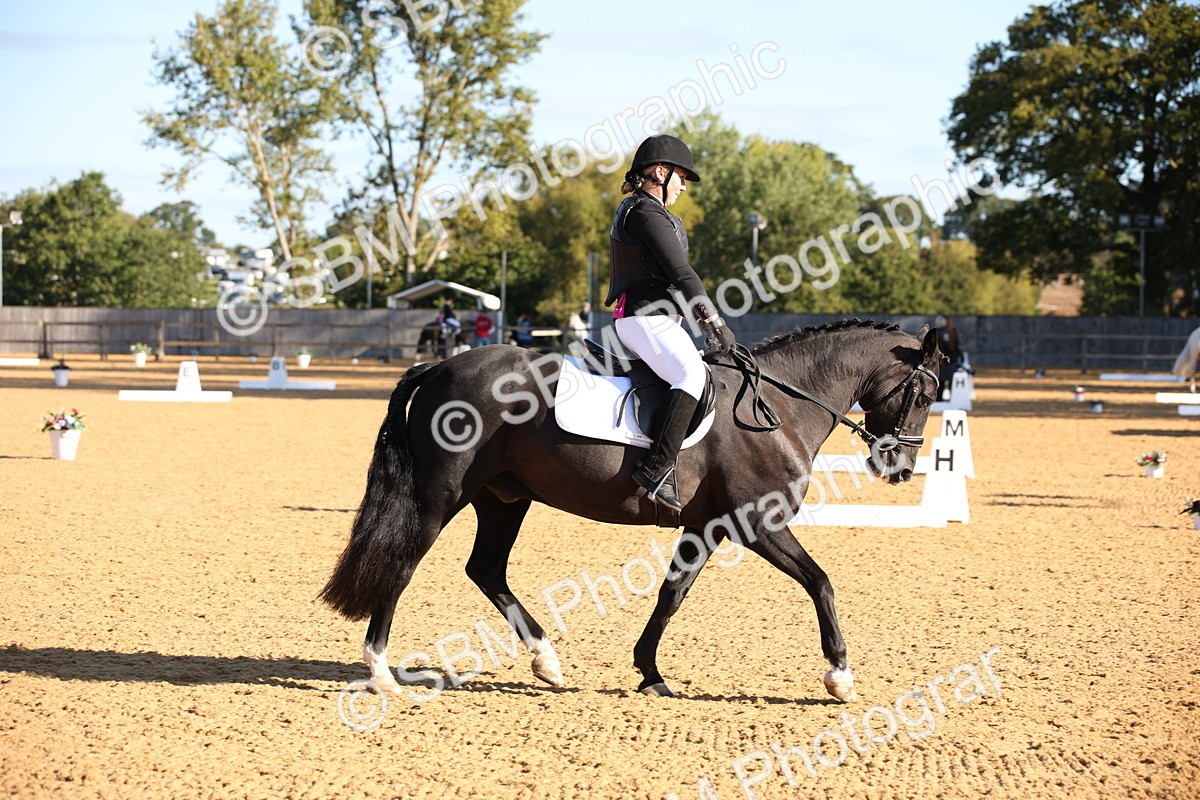SBM_01847 - D2 Small Tour Championship Intro C