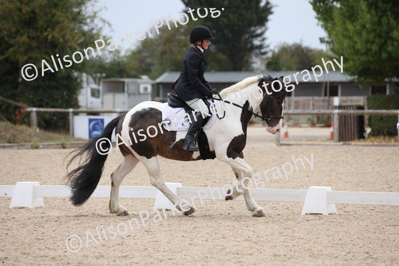 20250819-1183 - Class 3 - Prelim 2