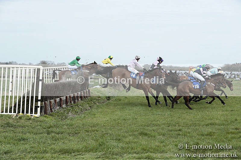 PtP 230319 160 - VWH Hunt Siddington Point-to-Point Racing 23/03/19