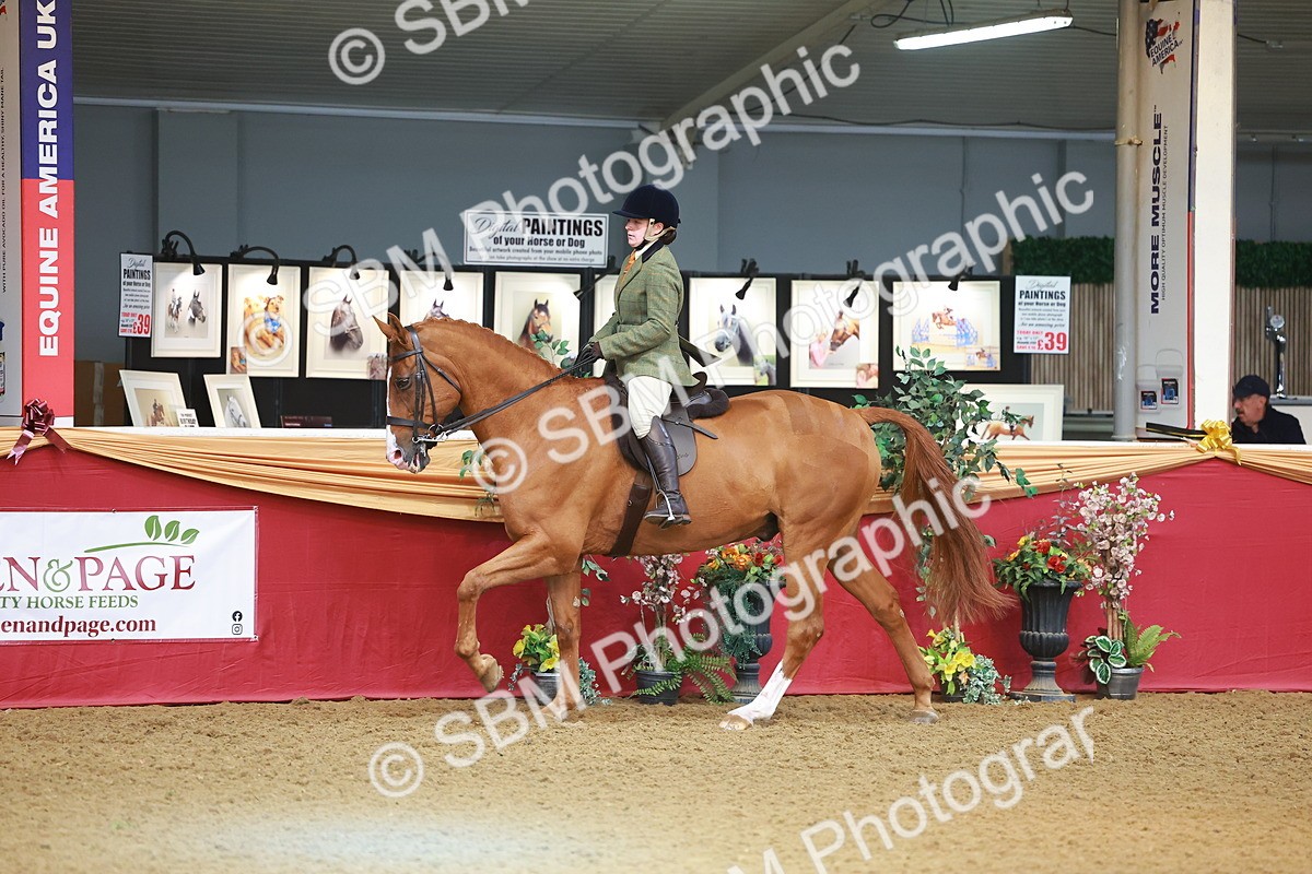 SBM_09704 - Class 102 - HOYS Veteran Qualifier - Ridden Veteran