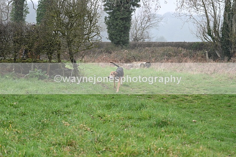 WJ7_0308 - Line 2 cam A