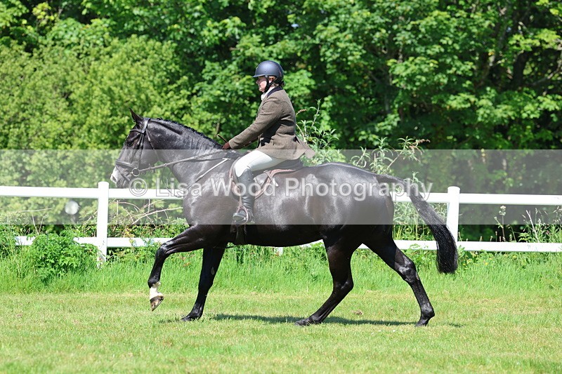 3E7A7017 - Class 30: Novice Working Hunter