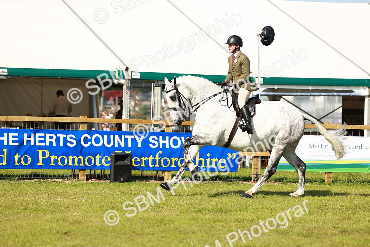 SBM_11825 - Class 66-69 - RIHS Ridden Hunters Inc Small Hunter