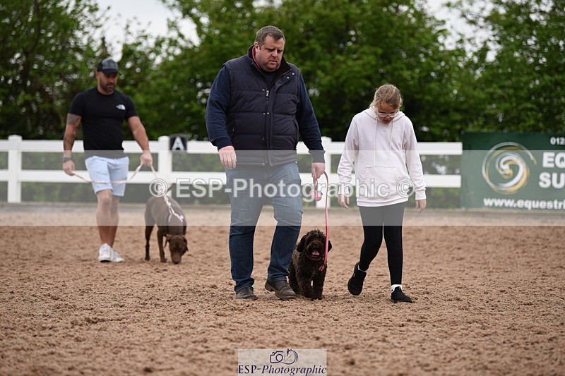 240518A-122316-01141 - Cls 4 Best Crossbred