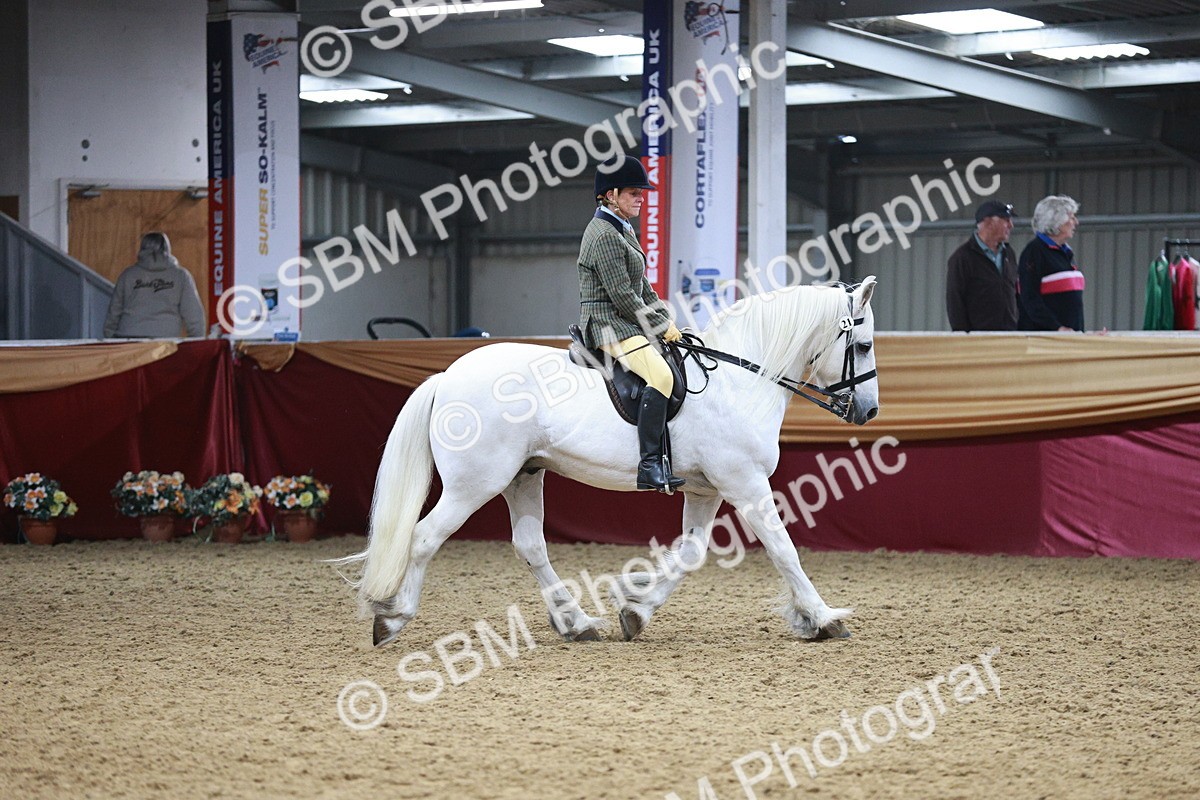 SBM_08249 - Class 11R - Regional Ridden Veteran