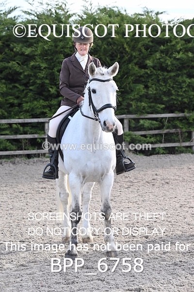 BPP_6758 - RING 1  (RIDDEN HORSES / IN HAND / VETERAN ETC)