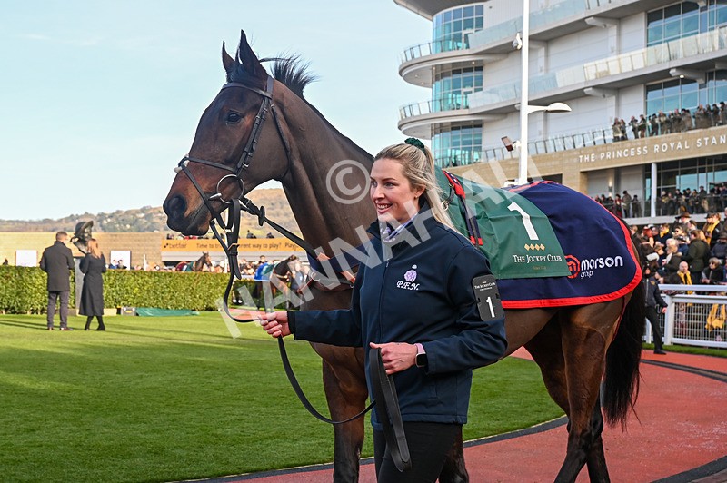 250125-Race 3-Ginnys Destiny-3286 - Race 3