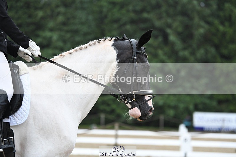240720-113403-04328 - 123-Michelle_Wallis-Alvescot_Winning_Mood