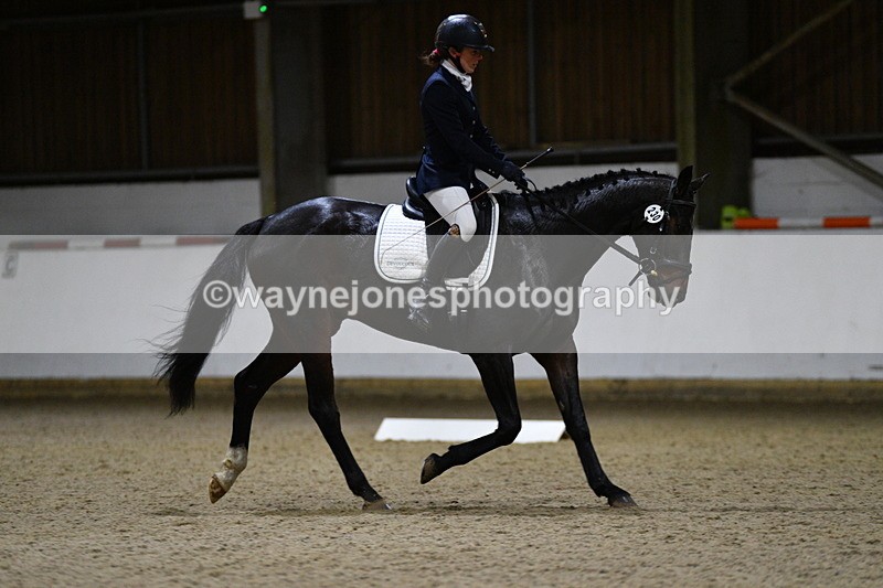 WJ5_8852 - Class 5 Novice Test 3