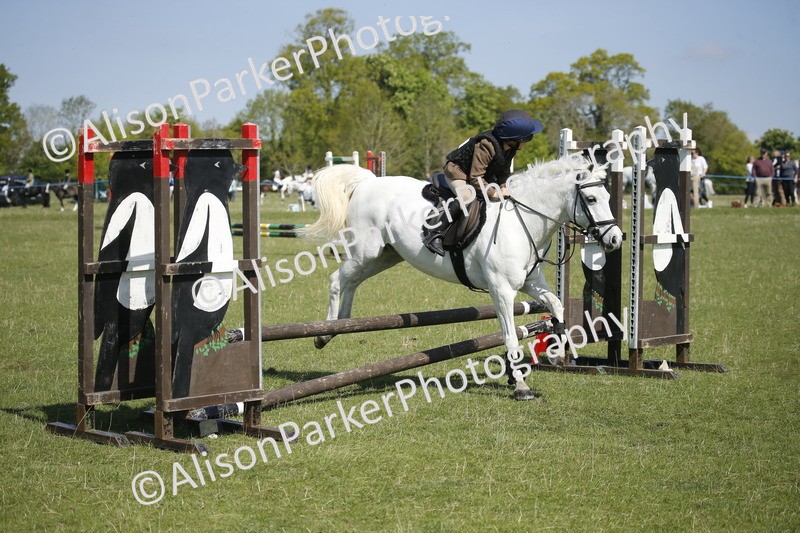 20250427-2210 - Class 13 - Novice Jumping 60cm