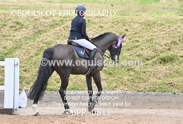 BPP_0811 - CLASS 29 SUN GFS Saddles Senior Newcomers/1.10m Open