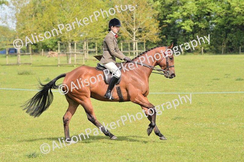 20260426-1127 - Class 19 - Retraining Of Racehorses