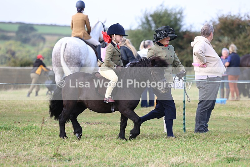 3E7A3510 - Class 2: Lead rein