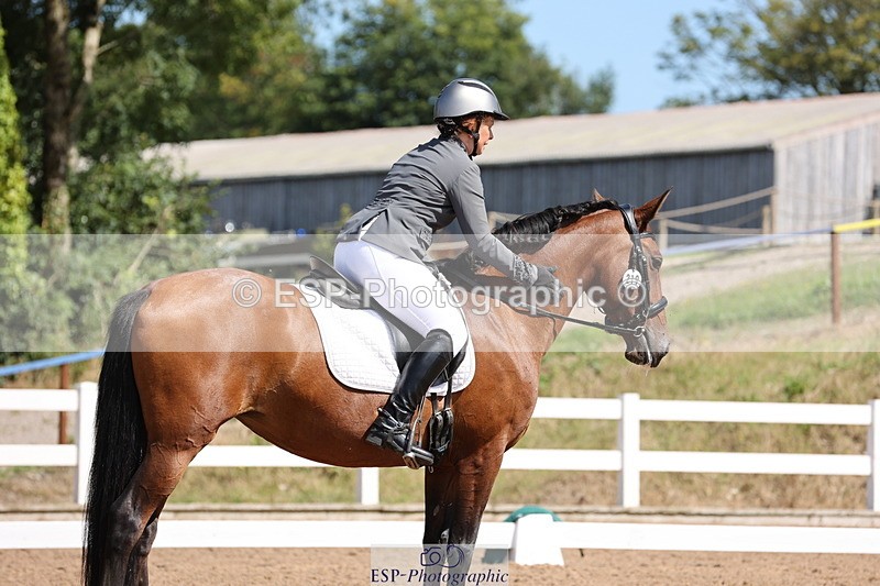 240816A-120126-04334 - 219-Sarah.Baldwin-Ervilha.Dos.Leitoes