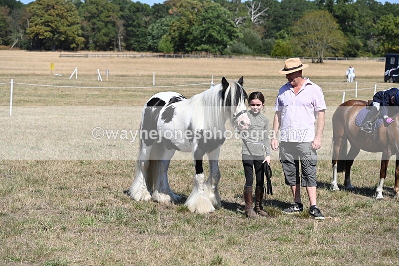 WJ6_9341 - Class 40 Cheekiest Pony/Horse
