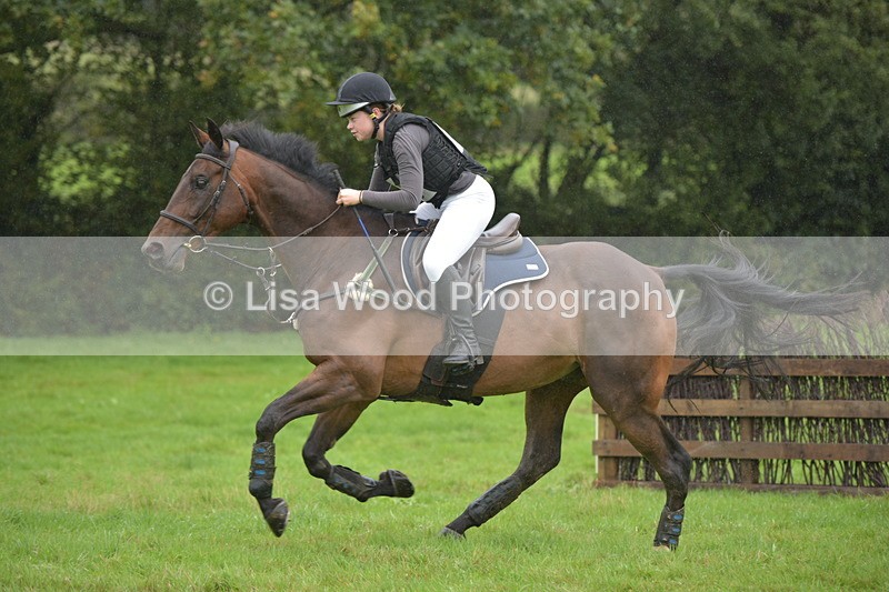 RAY_0217 - Class 4: 80cm: Double of Brushes