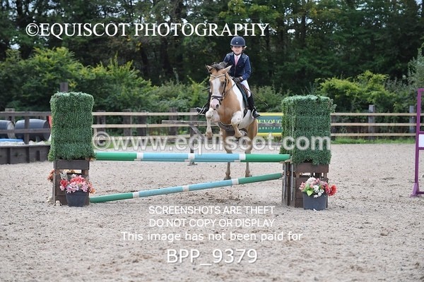 BPP_9379 - CLASS 7 80CM