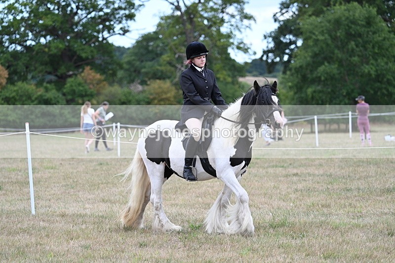 WJ7_4305 - Class 11 Family Mount