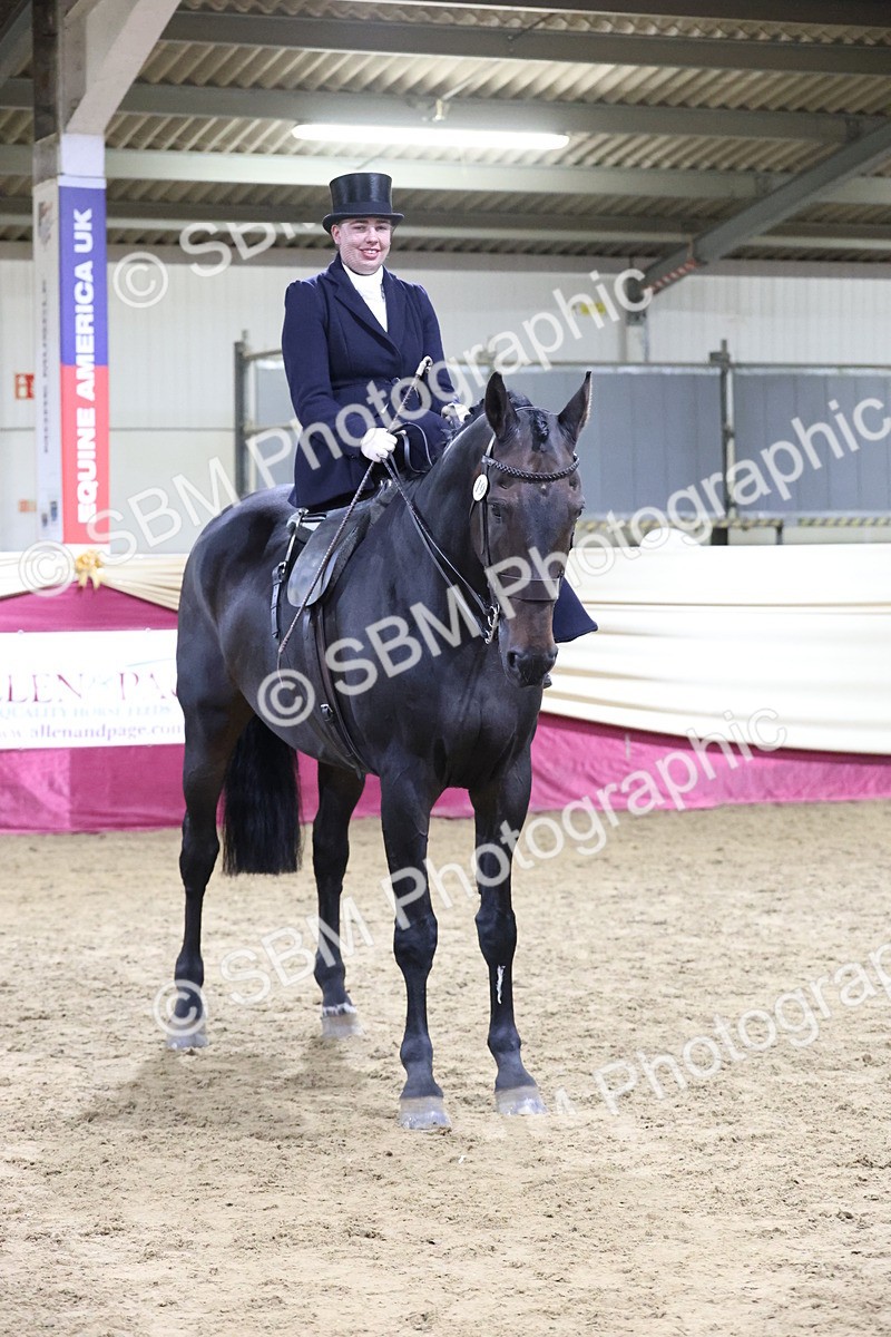 SBM_20982 - Class N - Side Saddle Champ