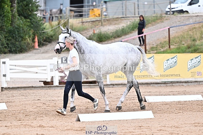 250716-133831-00605 - Trot Up 1.30 to 2.30